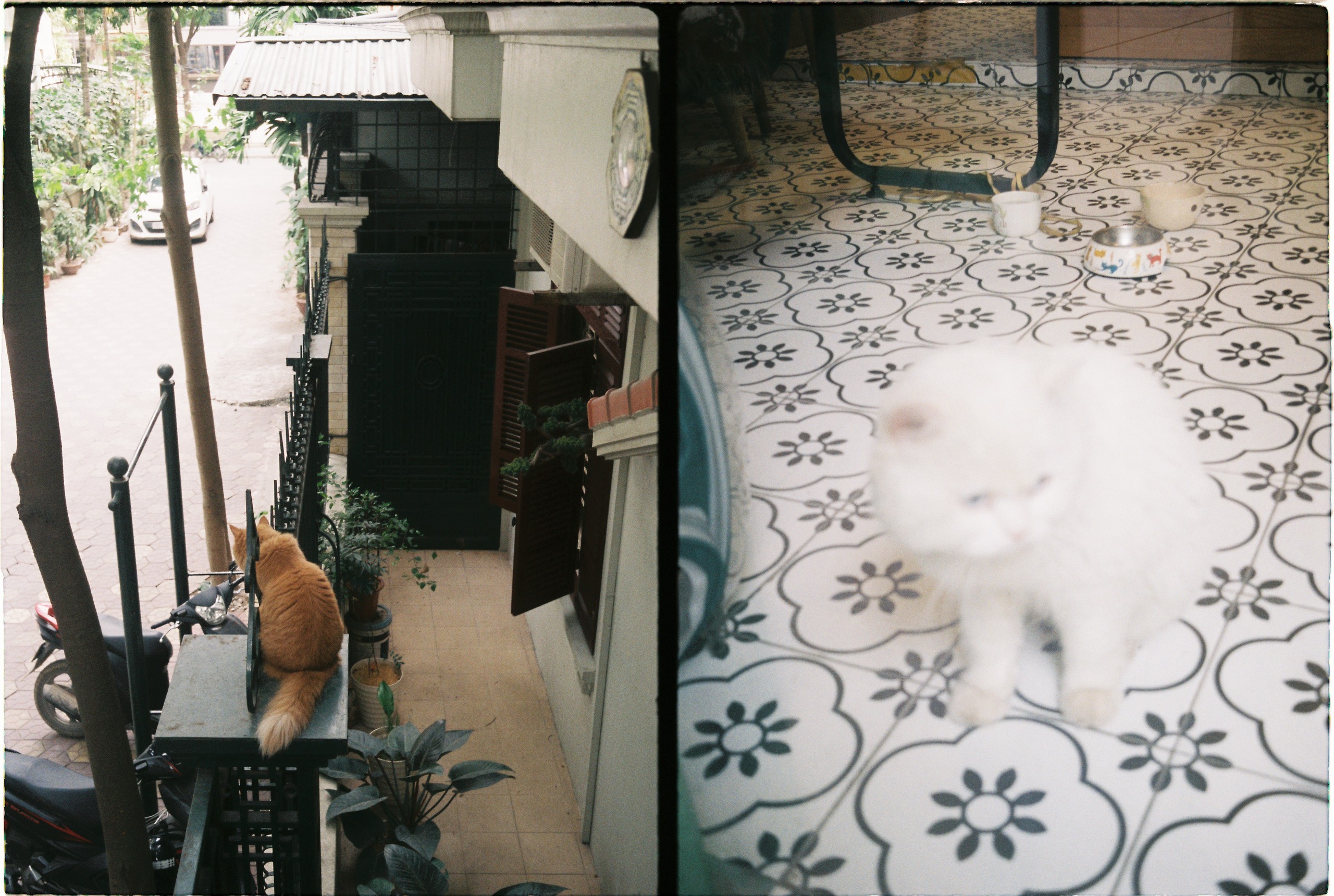 Hub-de-tana-coffee-trung-hoa Olympus-pen-EE-half-frame